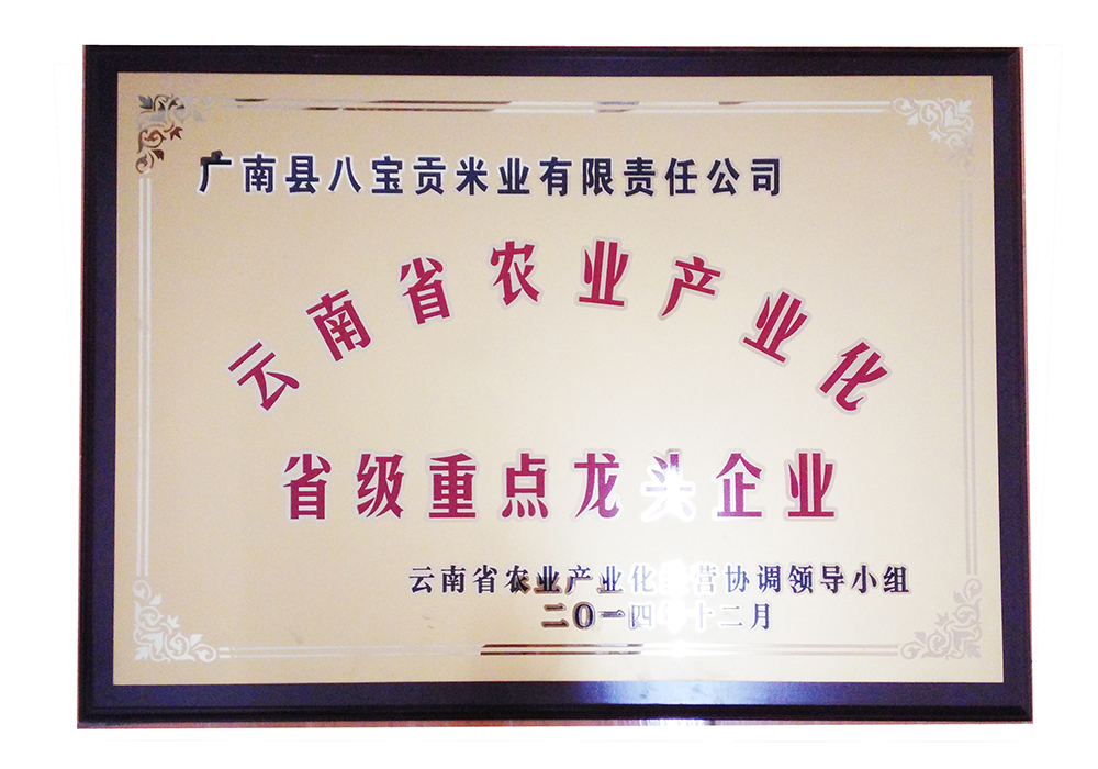 1 - 云南八宝贡米业有限责任公司官网